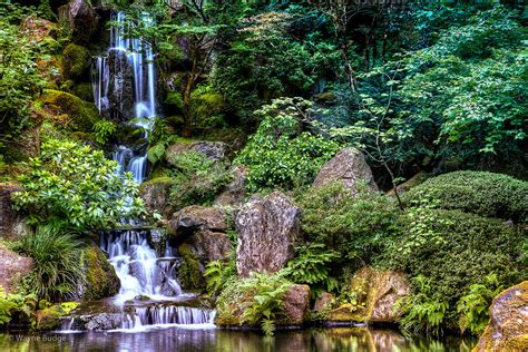 Garden of Tranquility .